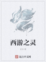 西遊之霛小说封面