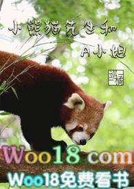 小熊貓先生和A小姐（1v1）小说封面