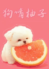 狗啃柚子小说封面
